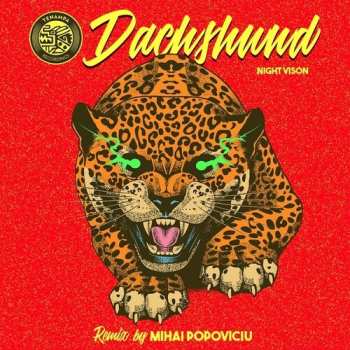 LP Dachshund,mihai Popoviciu: Night Vision