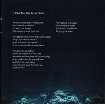 CD Damanek: Making Shore