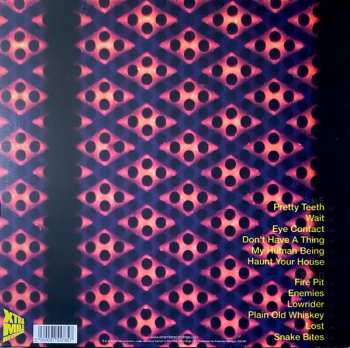 LP Dan Andriano In The Emergency Room: Party Adjacent CLR | LTD