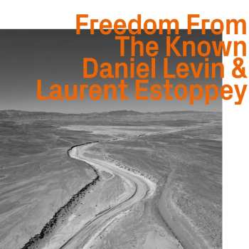 CD Daniel Levin: Freedom From The Known