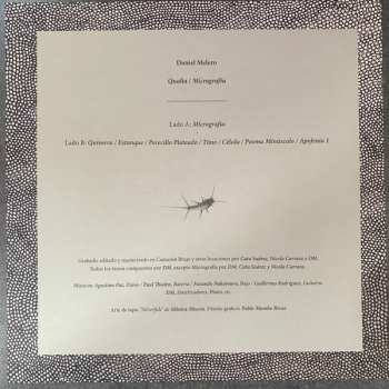 LP Daniel Melero: Qualia / Micrografía