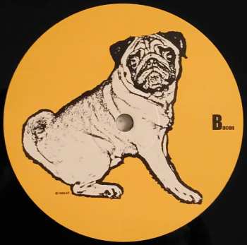 LP Danny Vera: Pink Flamingo