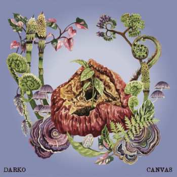 Album Darko: Canvas