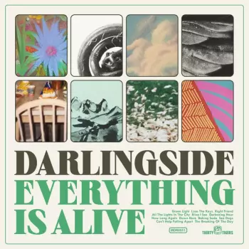 Darlingside: Everything Is Alive