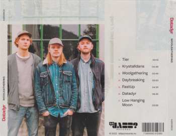 CD Datadyr: Woolgathering