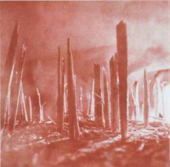 CD Datadyr: Woolgathering