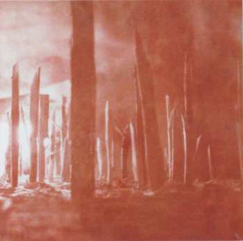 CD Datadyr: Woolgathering