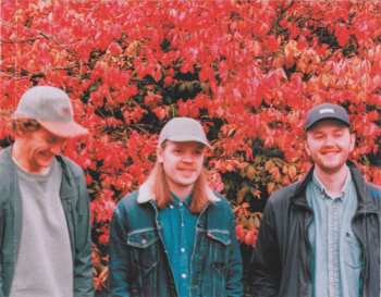 CD Datadyr: Woolgathering