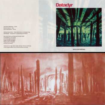 CD Datadyr: Woolgathering