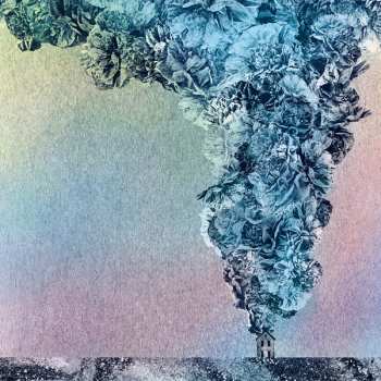 LP Daughn Gibson: Carnation