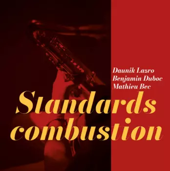 Benjamin Duboc: Standards Combustion