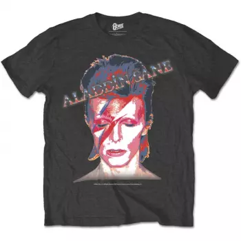 Koszulka Aladdin Sane 