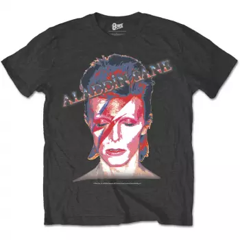 Koszulka Aladdin Sane 
