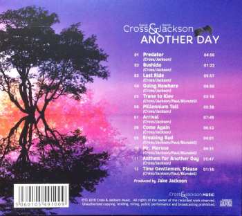 CD David Cross: Another Day