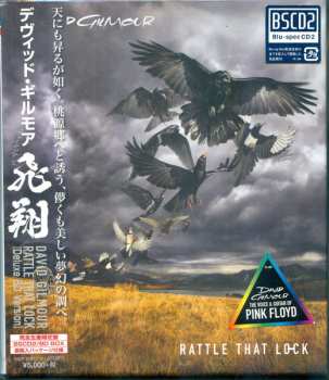 CD/Zestaw pudełkowy/Blu-ray David Gilmour: Rattle That Lock LTD