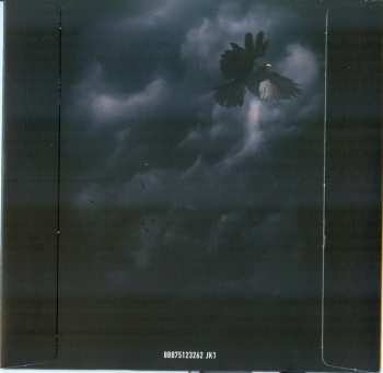 CD/Zestaw pudełkowy/Blu-ray David Gilmour: Rattle That Lock LTD