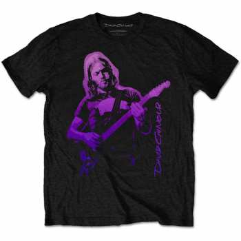 Merch David Gilmour: Koszulka Pig Gradient 
