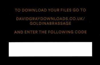 2LP David Gray: Gold In A Brass Age