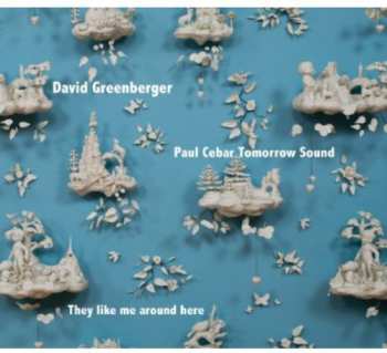 CD David Greenberger: They Like Me Around Here