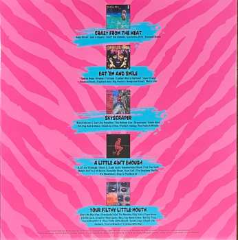 5LP/Zestaw pudełkowy David Lee Roth: The Warner Recordings 1985-1994