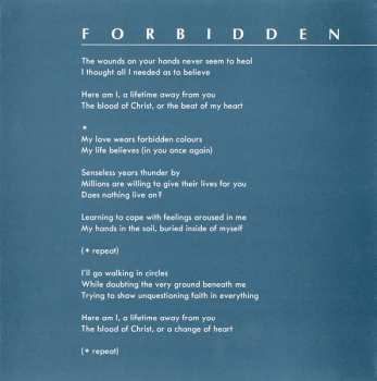 CD Ryuichi Sakamoto & David Sylvian: Forbidden Colours = 禁じられた色彩