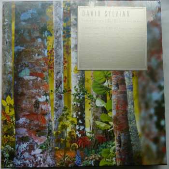 11CD/Zestaw pudełkowy David Sylvian: Samadhisound 2003-2014 Do You Know Me Now?