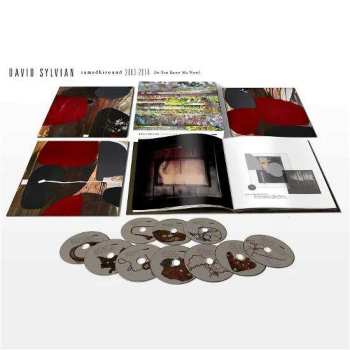 11CD/Zestaw pudełkowy David Sylvian: Samadhisound 2003-2014 Do You Know Me Now?