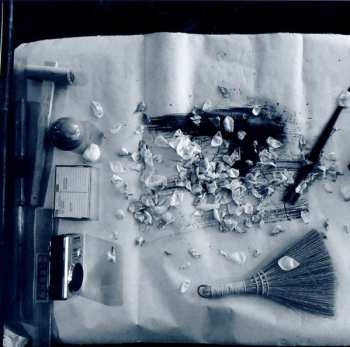 CD David Toop: Field Recording And Fox Spirits