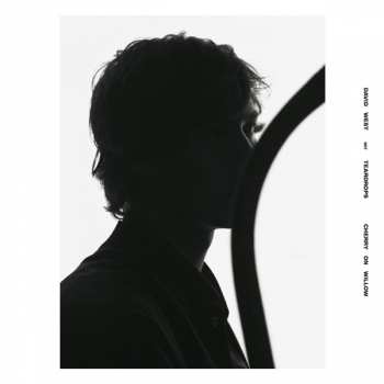 Album David West: Cherry On Willow