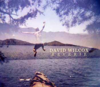 Album David Wilcox: Reverie