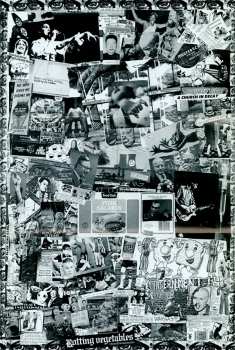 CD Dead Kennedys: Fresh Fruit For Rotting Vegetables