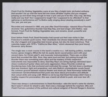 CD Dead Kennedys: Fresh Fruit For Rotting Vegetables (2022 Mix)