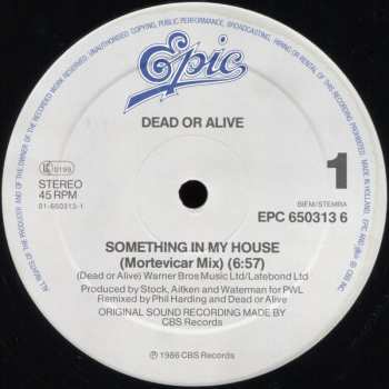 LP Dead Or Alive: Something In My House (Mortevicar Mix)