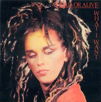 27CD/Zestaw pudełkowy Dead Or Alive: Still Spinnin' - The Singles Collection 1983-2021 LTD