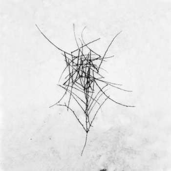 Album Dead Raven Choir: Schmerzengewalt