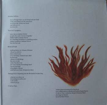 LP Deerhoof: Future Teenage Cave Artists LTD | CLR