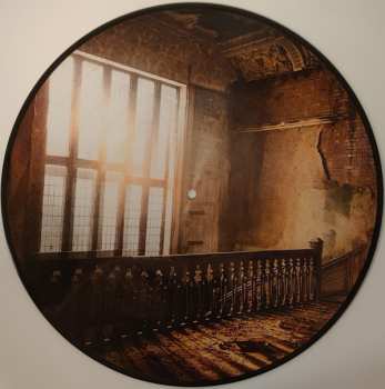 2LP The Royal Philharmonic Orchestra: Drastic Symphonies LTD | PIC