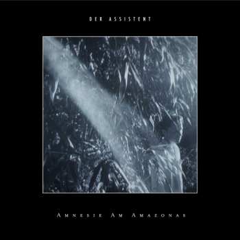 LP Der Assistent: Amnesie Am Amazonas