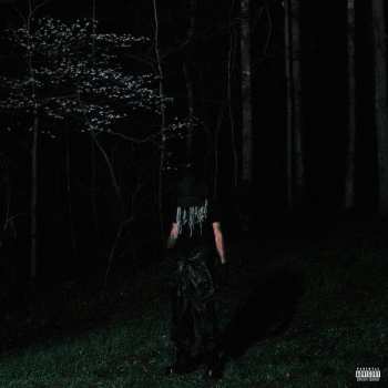 Album Destroy Lonely: If Looks Could Kill