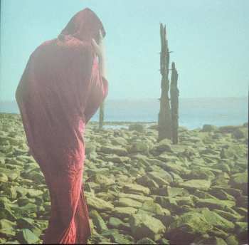 2LP Devil's Witches: In All Her Forms – Maiden. Mistress. Mother. Matriarch. CLR