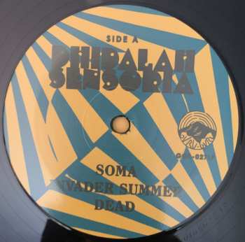 LP Dhidalah: Sensoria LTD