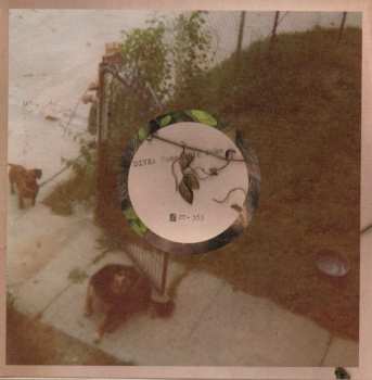 3SP/Zestaw pudełkowy DIIV: Sometime / Human / Geist LTD | CLR