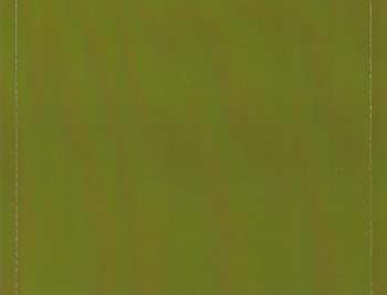 CD Disembodiment: Mutated Chaos