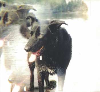 CD Do Make Say Think: You, You're A History In Rust