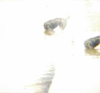 CD Do Make Say Think: You, You're A History In Rust