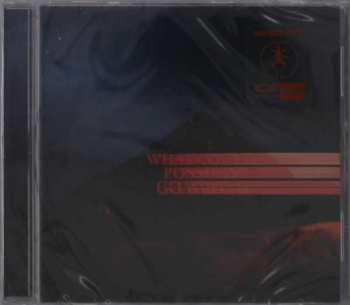 Album Dominic Fike: What Could Possibly Go Wrong