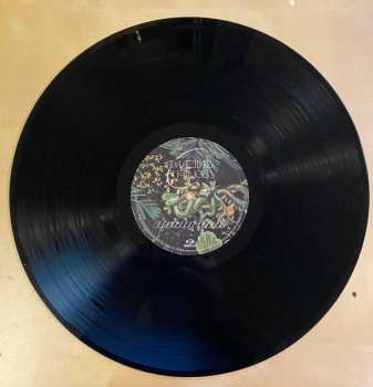 LP Don Broco: Amazing Things LTD