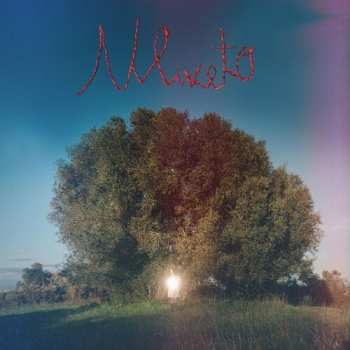 Album Donatella Montinaro: Uliveto