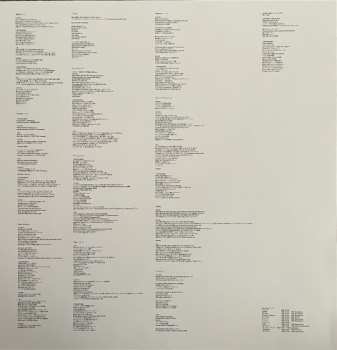 LP Dos Monos: Dos City LTD