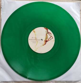 2LP Dot Allison: Heart-Shaped Scars